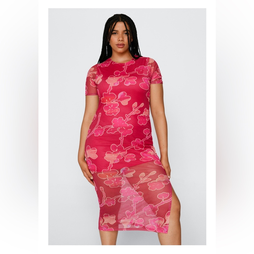Floral Print Mesh Midi Dress
